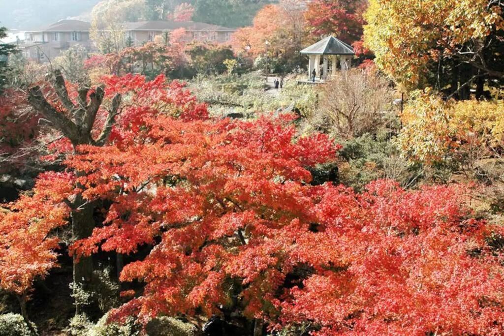 Forest Villa Hakone Bagian luar foto